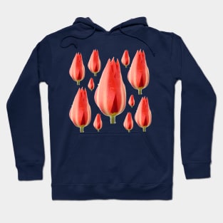 Tulipa &#39;Madame Lefeber&#39; Tulip Syn. Tulipa fosteriana &#39;Red Emperor&#39; Fosteriana Group Hoodie